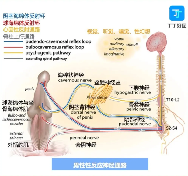 时间短好尴尬，提升自身延时能力的土方法！-第2张图片-超硬产品网